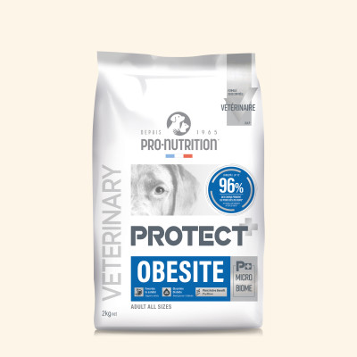  Obesité | Chien en surpoids ou obèsePro-Nutrition Flatazor 1