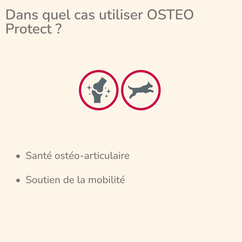  Osteo | Chien ayant des problèmes ostéoarticulairesPro-Nutrition Flatazor 3