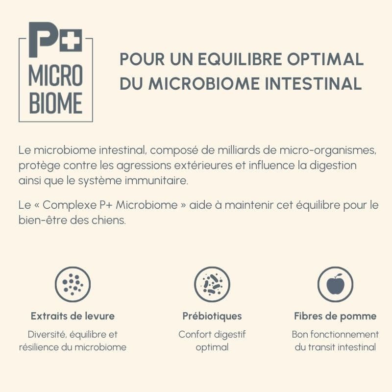  Senior+ | Chien adulte ou âgé avec troubles de la fonction rénale, ostéoarticulaires ou cardiaquesPro-Nutrition Flatazor 8